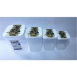 4 Pcs Long Funbox (0,9lt+1,4lt+2,1lt+3,1lt) - Image 5