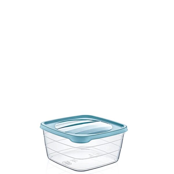 0,9 Lt Square Trend Storage Box