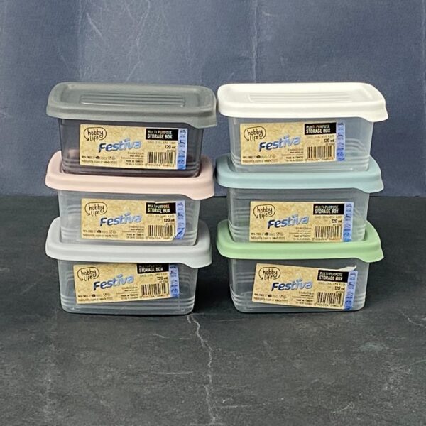 120 Ml Festiva Storage Box