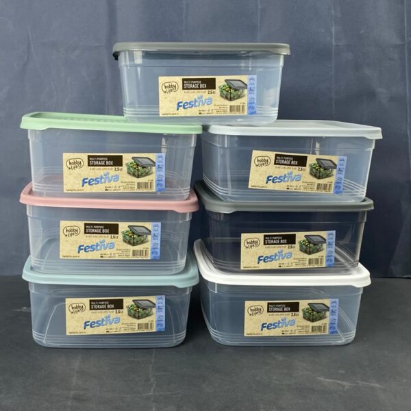 2.5 L Square FESTIVA Storage Box