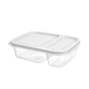 2 SECTION SMALL SMART RECT.STORAGE BOX