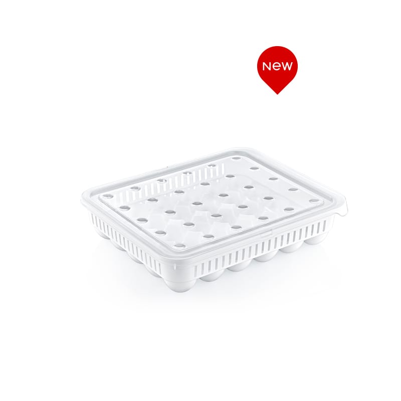 02-1053 30 Pcs Egg Storage Box - Image 1