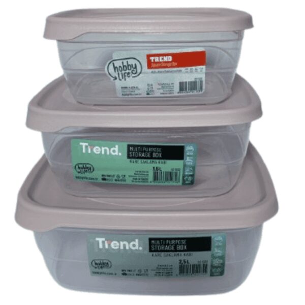 Set of 3 Square Trend Storage Boxes (0.9 L + 1.5 L + 2.5 L)