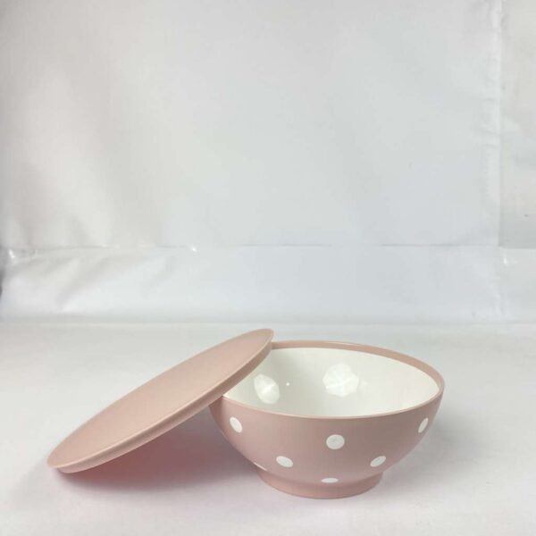 Spooty Bowl with Lid – 750 mL