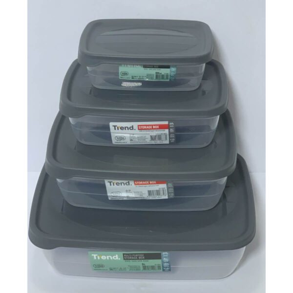 طقم علب تخزين تريند مستطيلة (0.6 لتر + 1.2 لتر + 2 لتر + 3 لتر)