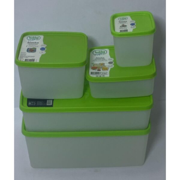 Set of 5 No-Frost Storage Boxes (380 ml + 650 ml + 1.1 L + 2 L + 3.5 L)