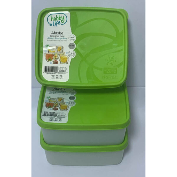 Set of 3 No-Frost Storage Boxes (650 ml)