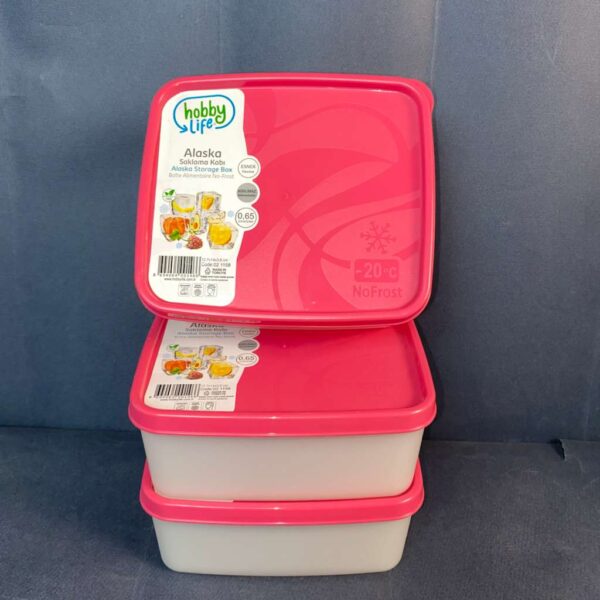Set of 3 No-Frost Storage Boxes (650 ml)