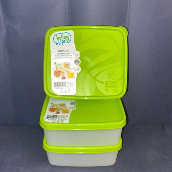 Set of 3 No-Frost Storage Boxes (650 ml)