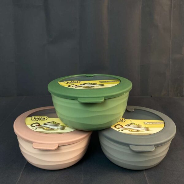 Pera Round Bowl with Airtight Leak-Proof Lid – 1.3 Liter